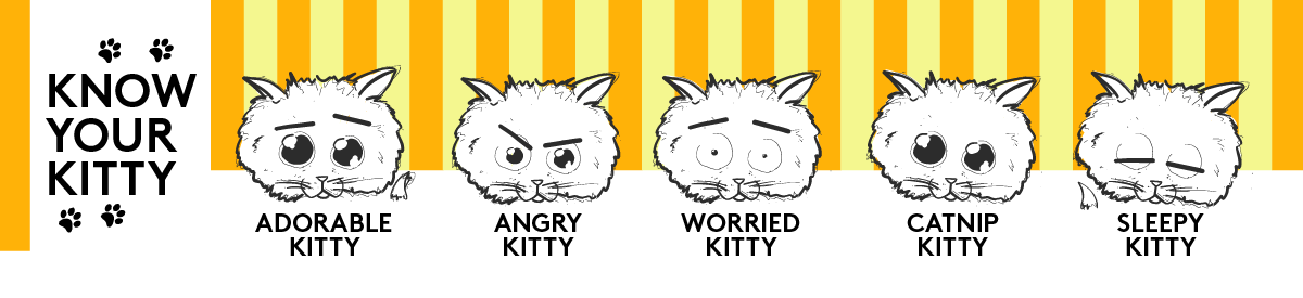 Know Your Kitty